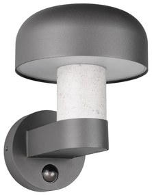 Illuminazione esterna con sensore di movimento da parete (altezza totale 24,5 cm) Fraser – Trio