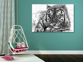 Stampa su tela – Predatore degli animali in bianco e nero