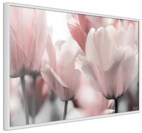 Poster Pastel Tulips II