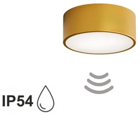 Plafoniera da bagno con sensore CLEO 1xE27/24W/230V Ø 20 cm IP54 dorata