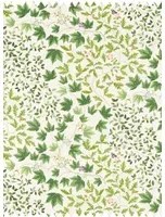 Sanderson Stoff Sycamore and Oak - Botanical Green