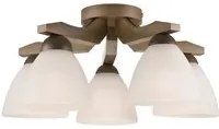 Lampada a Soffitto Adriano, Marrone, Acciaio, 41x41x21 cm, EPIKASA