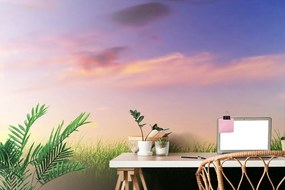 Carta da parati – Tramonto sul prato