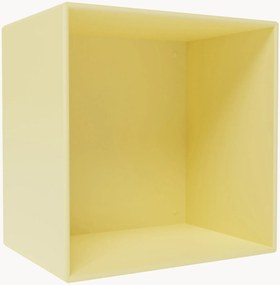 Modulo Mini 1001