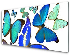 Quadro su vetro Farfalle Natura 100x50 cm