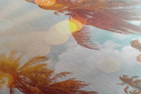 Stampa su tela – Raggi di sole tra le palme