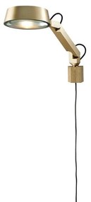 Light Point - Dark W1 Applique da Parete Brass LIGHT-POINT