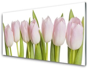 Quadro in vetro Tulipani Fiori Pianta 100x50 cm