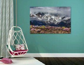 Stampa su tela – Paesaggio montano unico