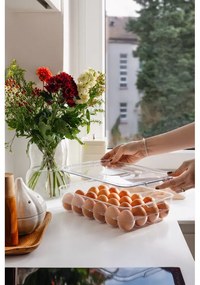 Portauova in plastica 33x21 cm – Casa De Engel