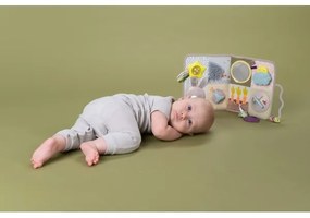 Taf Toys - Centro giochi per culla con melodia Giardino 3xAAA