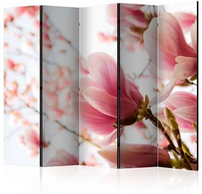 Paravento  Pink magnolia II [Room Dividers]  Colore ---, Dimensioni e Misure 225x172