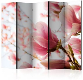 Paravento Pink magnolia II [Room Dividers]