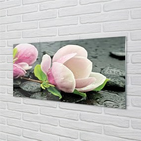 Quadro di vetro Pietre di magnolia 100x50 cm