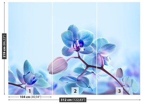 Carta da parati Orchidee tropicali 104x70 cm