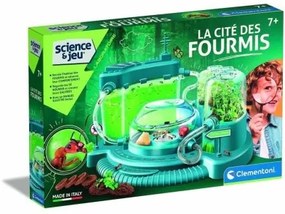 Gioco di Scienza Baby Born Science and Games The city of ants Ant observatory (FR)