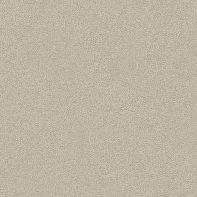 Bisont cuscino disponibile in diversi colori realizzato in microfibra effetto pelle smacchiabile T15 panna