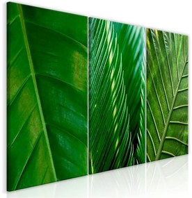 Quadro  Leaves (Collection)  Colore Verde, Dimensioni e Misure 120x60