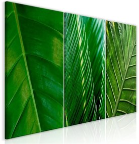 Quadro Leaves (Collection)