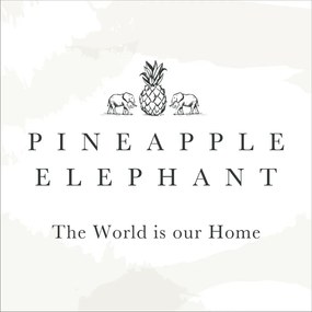 Tende in set blu 2 pz 117x229 cm Suri Geo – Pineapple Elephant