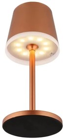 Globo 36637RM - Lampada LED solare LED/0,6W/3V 3000K IP44 rame