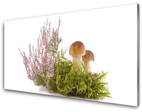 Quadro acrilico Funghi, piante, natura 100x50 cm