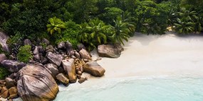 Quadro su tela – Costa delle Seychelles