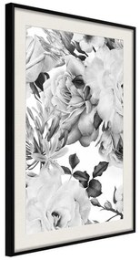 Poster  Black and White Nature  Cornice Quadri Cornice nera con pass-partout, Larghezza x Altezza Home decor 20x30