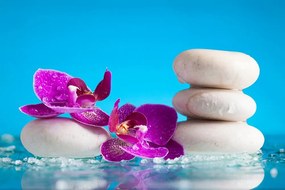 Carta da parati autoadesiva – Natura morta wellness