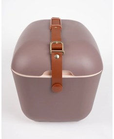 Borsa frigo marrone 12 l Classic Gold – Polarbox