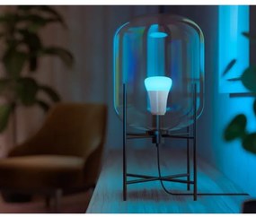 Lampadina LED Dimmerabile Philips Hue WACA A67 E27/13,5W/230V 2000-6500K