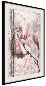 Poster  Queen of Spring Flowers III  Cornice Quadri Cornice nera con pass-partout, Larghezza x Altezza Home decor 20x30