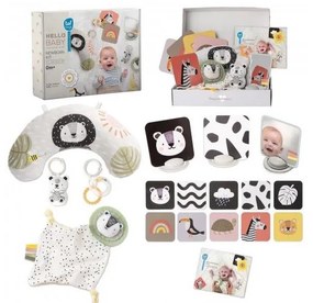 Taf Toys - Confezione regalo HELLO BABY