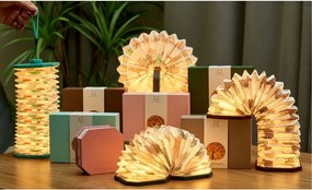 Decorazione luminosa marrone scuro con ricarica USB Velvet Accordion – Gingko