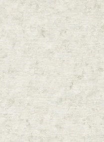 Clarke & Clarke Carta da parati Impression - Stone