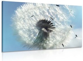 Quadro su tela – Dettaglio del soffione