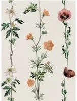Coordonne Tapete Climbing Flowers - Linen