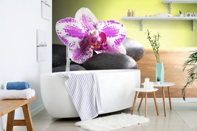 Fotomurale – Orchidea e pietre nere