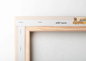 Quadro su tela – Volpe sognante