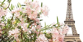 Stampa su tela – Torre Eiffel e fiori rosa