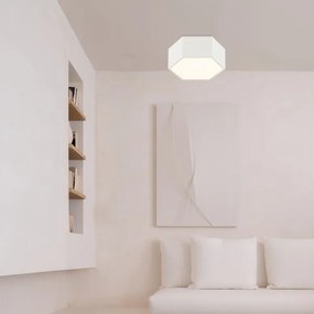 Argon 8781 - Plafoniera LED LIBERO LED/12W/230V 3000K bianco