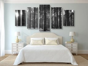 Quadri 5 pezzi – Mattina nella foresta in bianco e nero