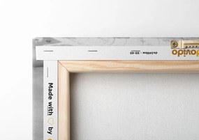 Stampa su tela – Per avventuriero in bianco e nero