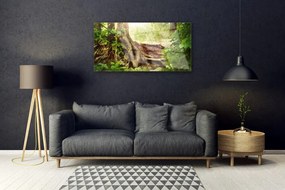 Quadro acrilico Albero Stock Natura Foresta 100x50 cm
