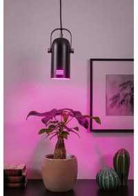 Paulmann 79766 - 1xE27/15W Lampada a sospensione su cavo LAVEA 230V nero