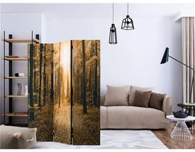 Paravento Magical Light [Room Dividers]