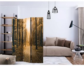 Paravento  Magical Light [Room Dividers]  Colore ---, Dimensioni e Misure 135x172