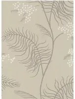 Mimosa - Designtapete von Cole and Son - Beige/ Weiß/ Grau