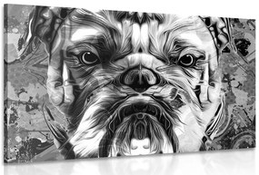 Stampa su tela – Bulldog in bianco e nero