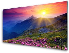 Quadro acrilico Paesaggio del prato di montagna del fiore 100x50 cm
